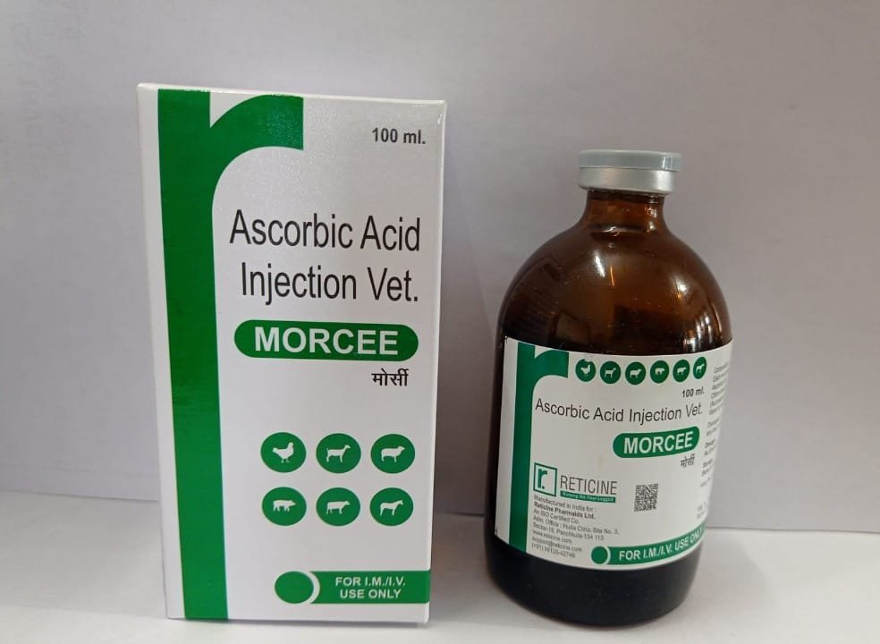 MORCEE 100ML